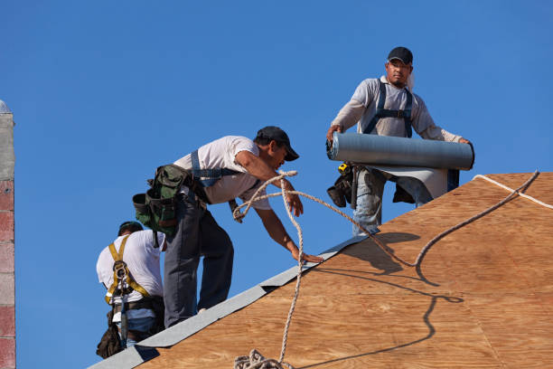 Best Storm Damage Roof Repair  in USA